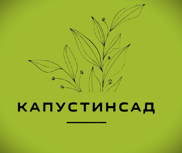 Самозанятая Капустина Нина Олеговна