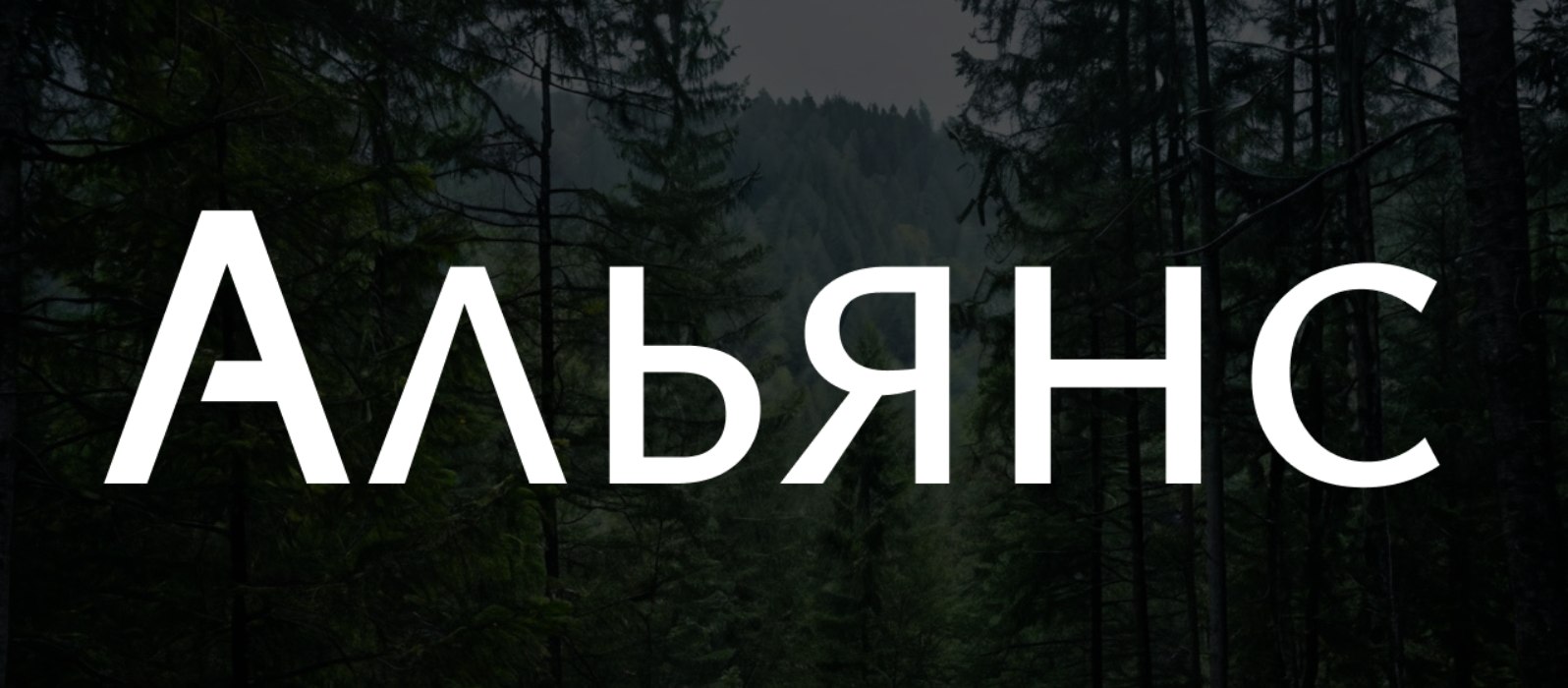 ООО «АЛЬЯНС»